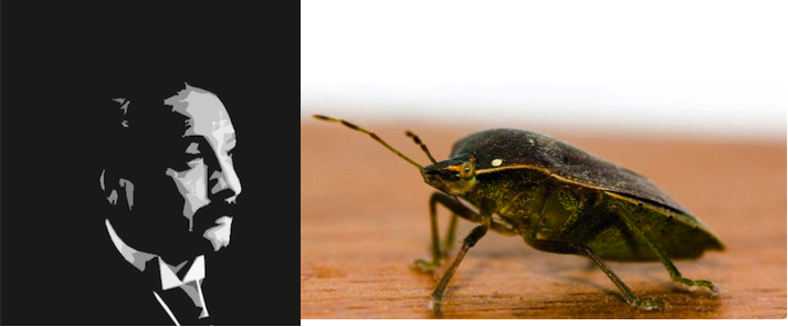 Albert Einstein explains his General Theory of Relativity to Cuthbert the cockroach (see text to make sense of this).